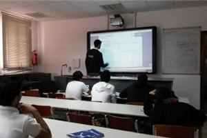 Peer Tutoring and Shadow Teaching